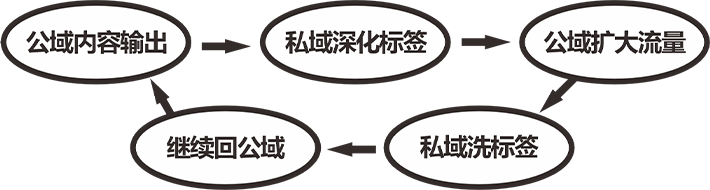 垂直内容